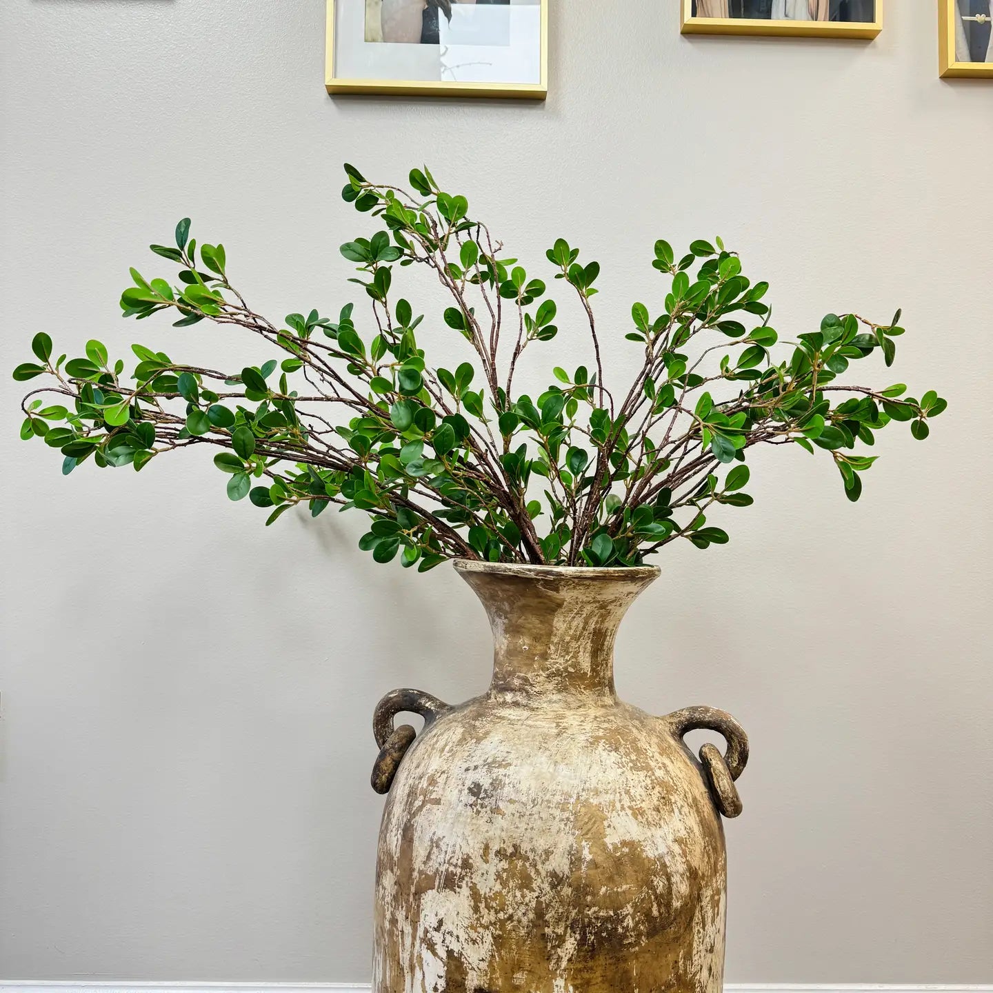 Aglaia Odorata Spray