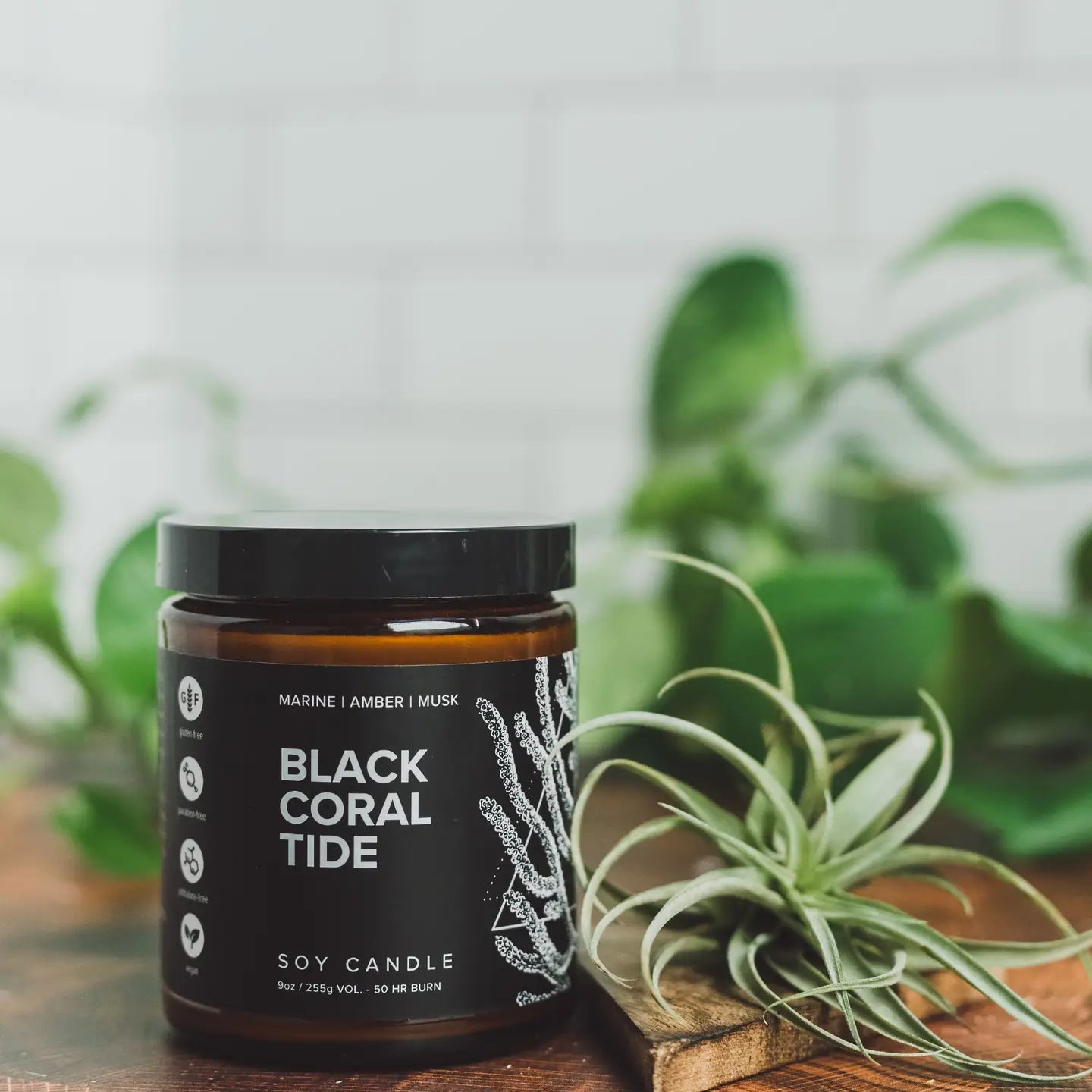 Black Coral Tide Soy Candle