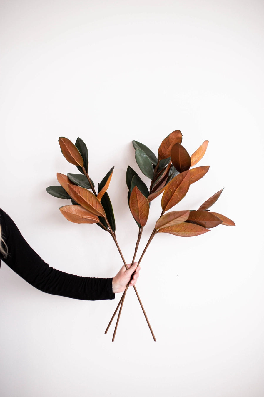 Magnolia Leaves