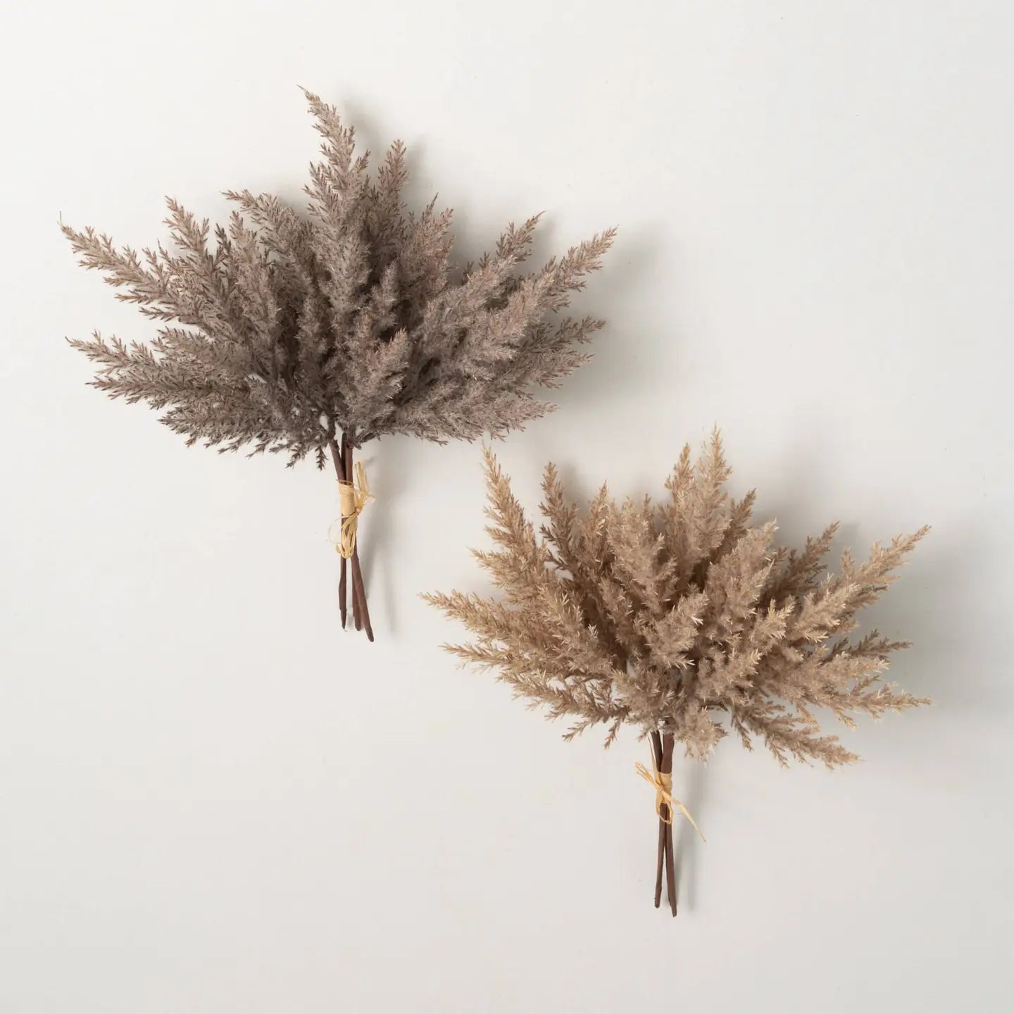 Pampas Grass Bundle