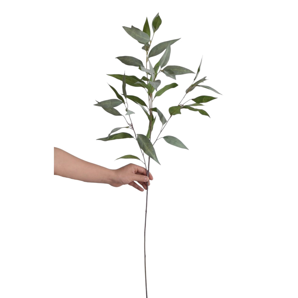 Frosty Grey Green Eucalyptus Branch