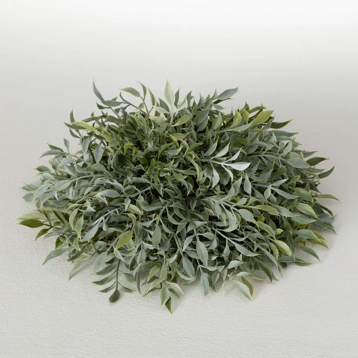 Ruscus Orb